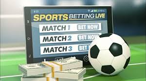 The All-Inclusive Guide to Meridian Bet Your Ultimate Betting Experience The All-Inclusive Guide to Meridian Bet Your Ultimate Betting Experience