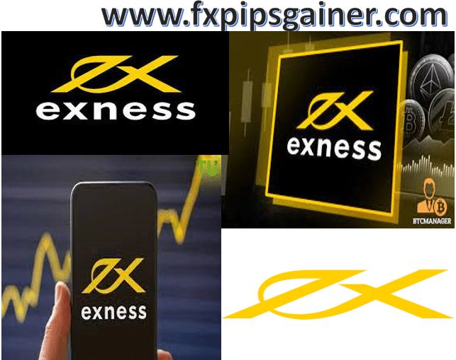 Your Comprehensive Guide to Exness Personal Area